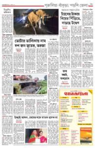 page-11.html