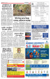 page-3.html