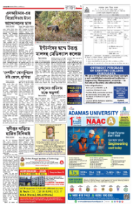 page-3.html