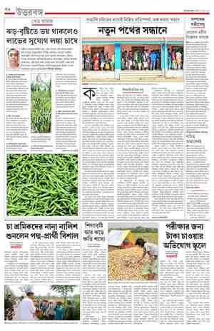 page-12.html