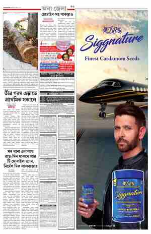page-11.html