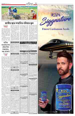 page-11.html
