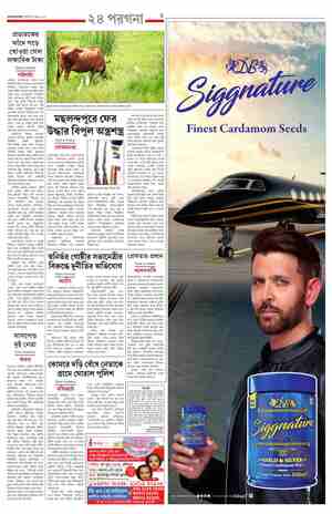 page-9.html