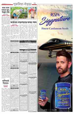 page-11.html