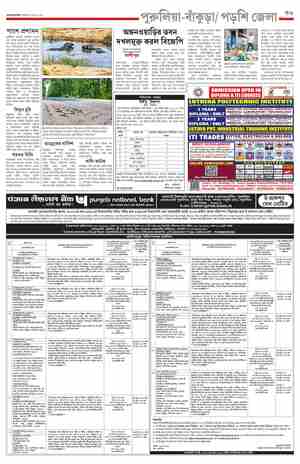 page-11.html