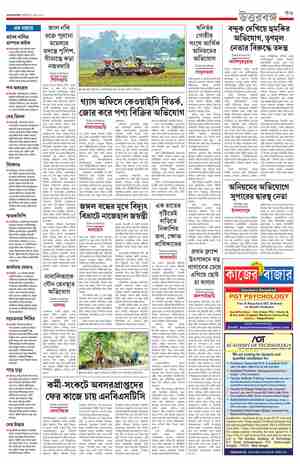 page-11.html