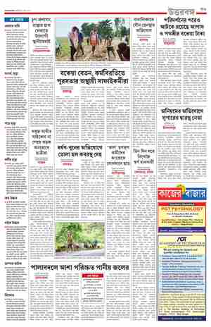 page-11.html