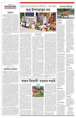 page-4.html