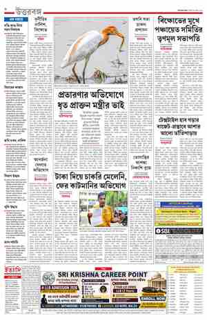 page-8.html