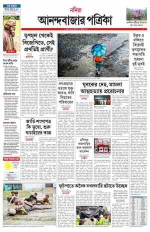 page-12.html