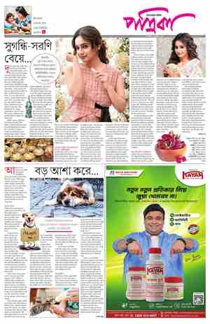 page-11.html