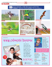 page-19.html