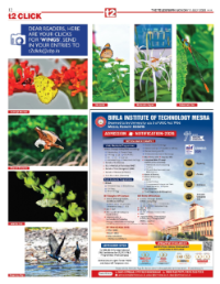 page-26.html