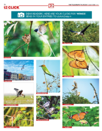 page-28.html
