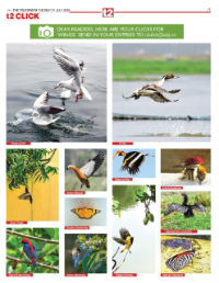 page-29.html